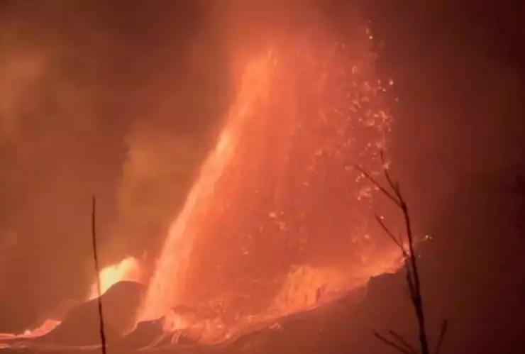 WhatsApp Image 2025-02-26 at 2.26.28 PM.jpeg