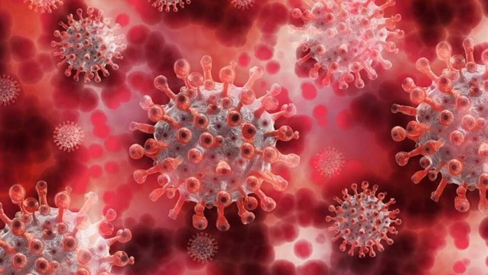 coronavirus sars cov 2.jpg