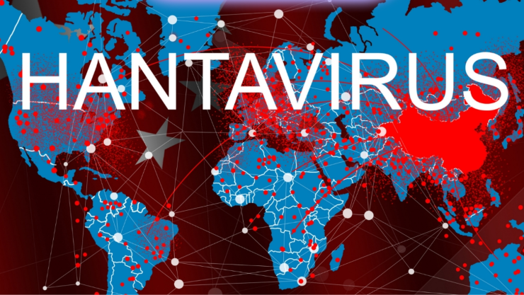 Cómo evitar contagiarte de hantavirus.