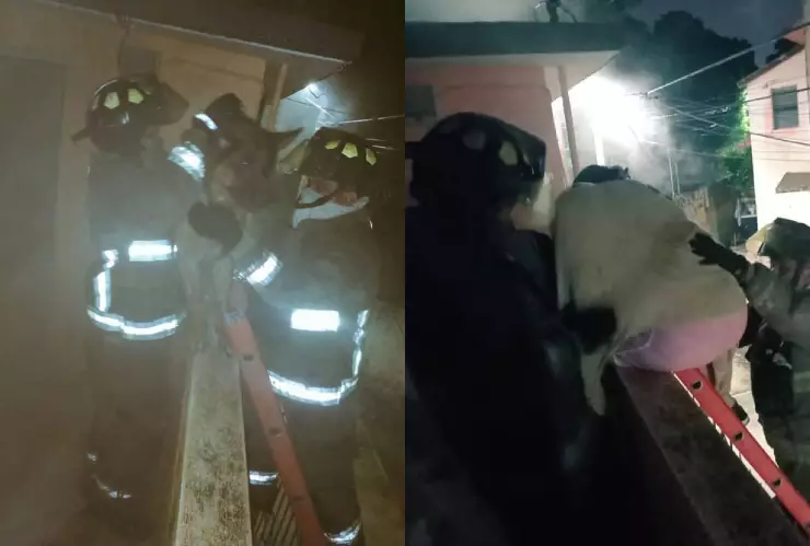 ¡Madrugada en llamas! Rescatan a señora y su perro tras incendio de su casa en Cancún.jpg