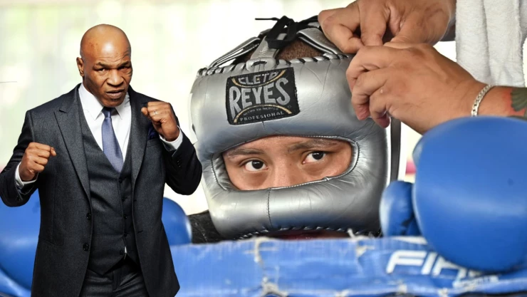 pitbull cruz mike tyson boxeo