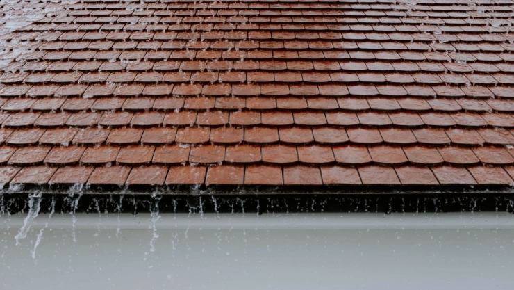 Para las lluvias: el trucazo para sellar el techo de tu casa, pero sin usar impermeabilizante