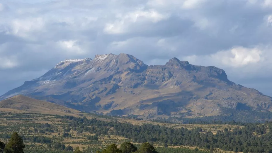 bosque más bonito México