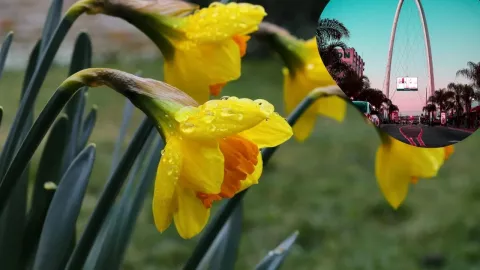 ¿Qué días habrá lluvias en Tijuana esta última semana de marzo 2025?