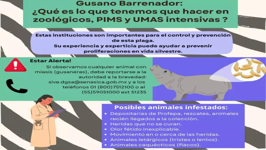 WhatsApp Image 2025-09-24 at 11..jpg