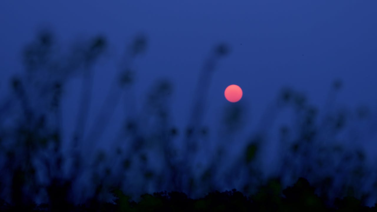 La luna llena de abril tradicionalmente es conocida como Luna Rosa, ¿por qué?