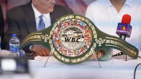 Alacran Berchelt boxeo pelea 11 de octubre