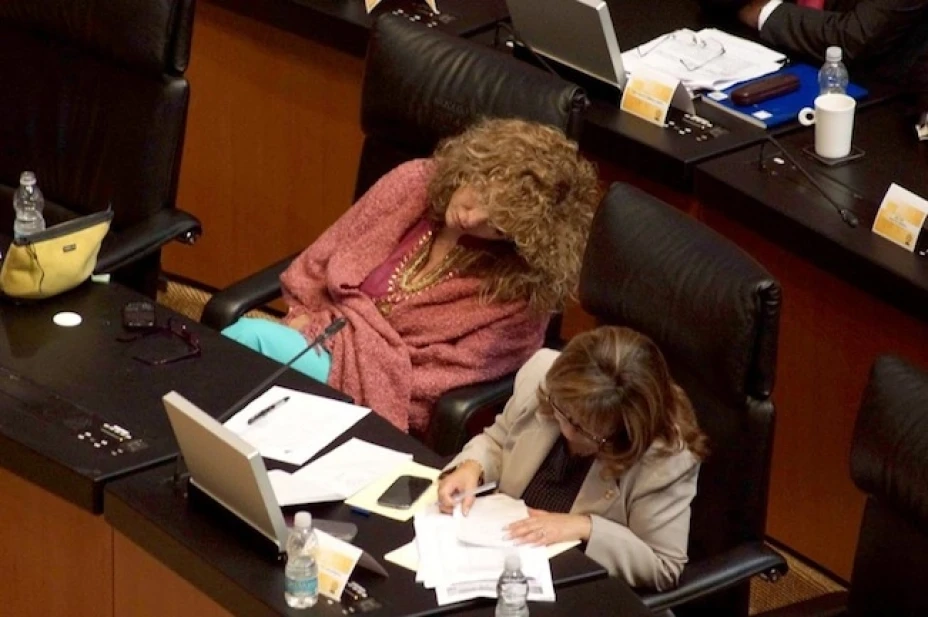 Luz María Beristain, senadora del PRd