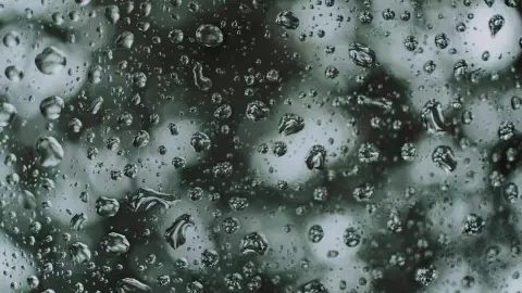 Estos son los municipios de Guanajuato que serán más afectados por la tormenta tropical John