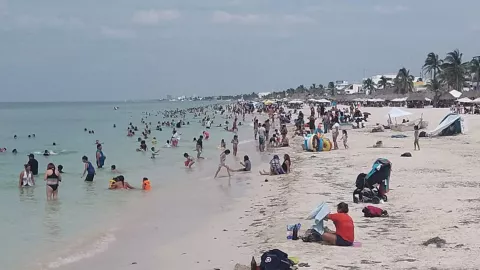 Marea roja en Yucatán: ¿Qué me podría pasar si me meto al mar?