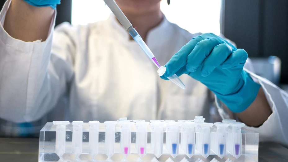 Crean antiveneno en México; podría combatir picaduras de serpientes más mortíferas de África.webp