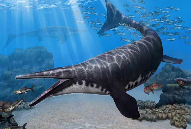 Nueva especie de reptil marino fue hallado en Marruecos