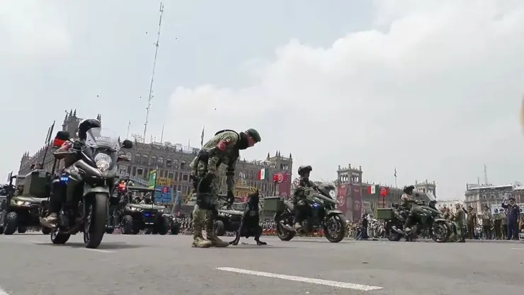 VIDEO: Perro se hace del baño frente a AMLO durante el Desfile Militar 2023