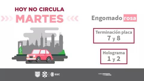 Hoy No Circula: Los autos que descansan el martes
