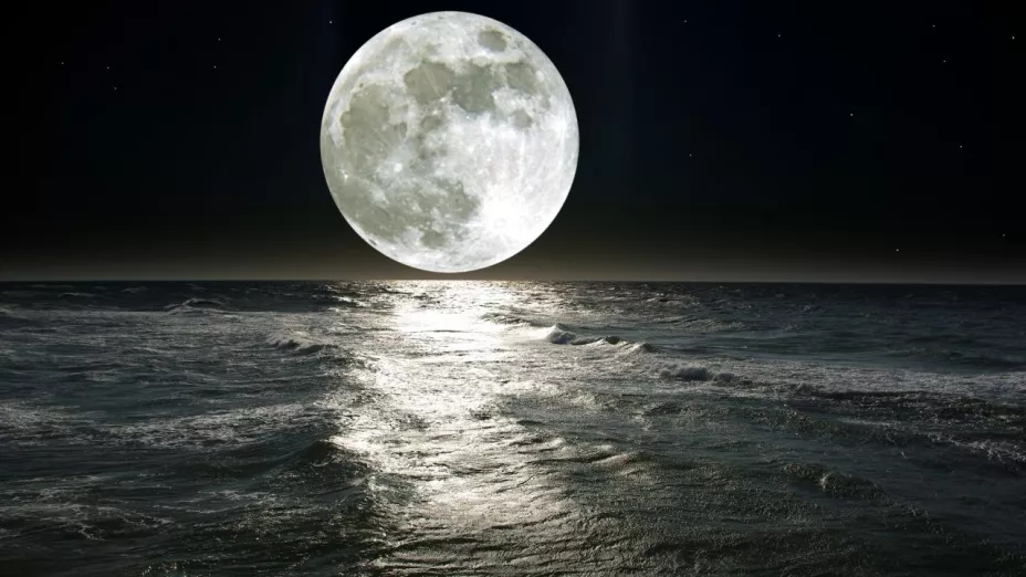 Descubren nueva “cuasi luna” que ha acompañado a Tierra por años.jpg