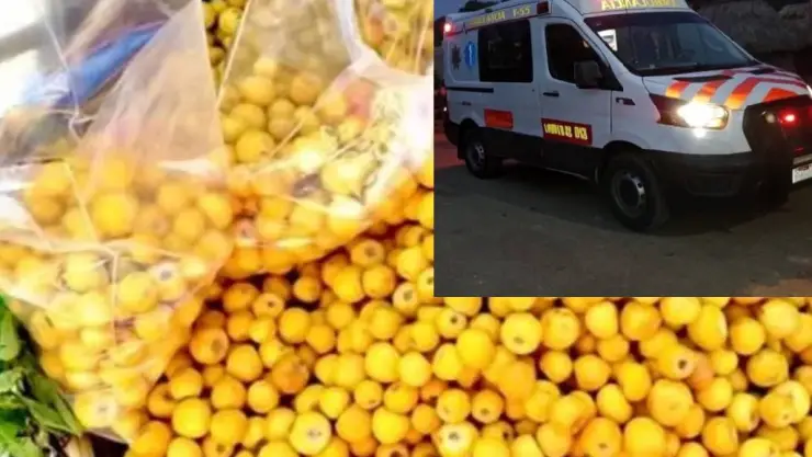 ¡Momentos de pánico! Menor de 5 años se atraganta con semilla de NANCE en Yucatán; esto se sabe