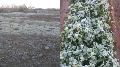 Revelan causas de las heladas en Puebla hoy 10 de octubre de 2024