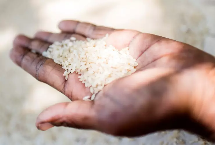 El mejor arroz en relación calidad y precio, según la Profeco