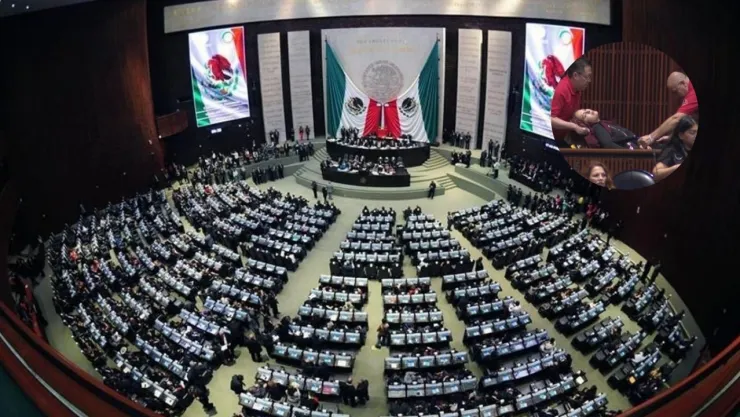 Diputada del Partido Verde se desmaya en plena sesión