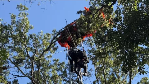 Imágenes del trágico accidente de paracaídas en Nashville