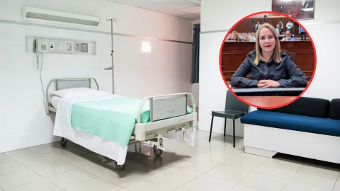 Diputada de Culiacán.png