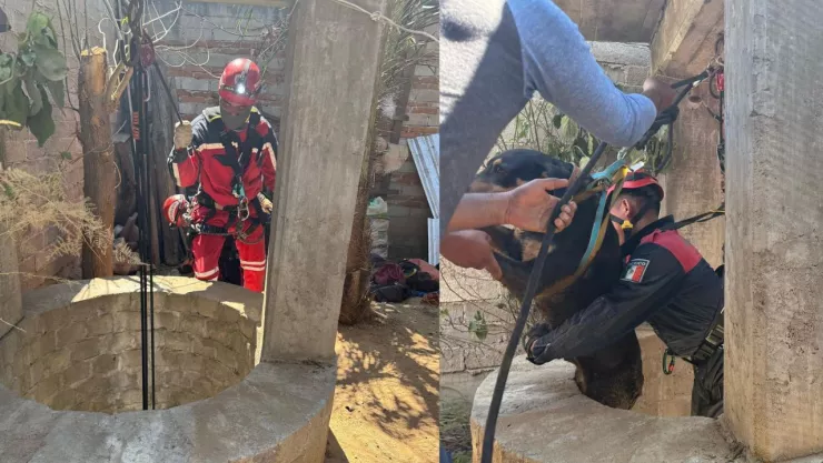 Texto del párrafo - 2025-04-20T141827.031.jpg