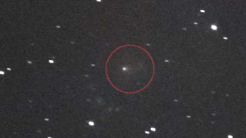 La prueba de la cola (Misión Lucy)