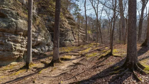 Un sendero del bosque de Giant City.
