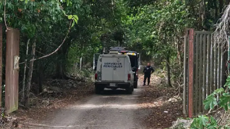 Hombre muere ahogado tras caer en estanque en Playa del Carmen