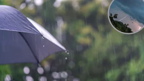 Lluvias por horas en Tijuana sábado 25, domingo 26 y lunes 27 de enero de 2025 ¿A qué hora empieza a llover?