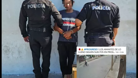 WhatsApp Image 2025-01-04 at 11.50.28.