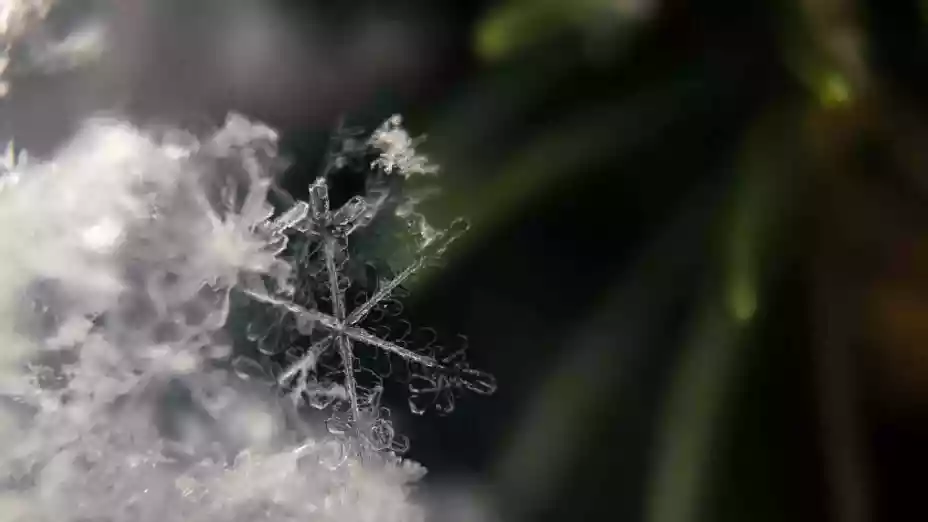 Las CONSECUENCIAS del frente frío 37 en Yucatán, hoy 10 de abril de 2025Proyecto nuevo