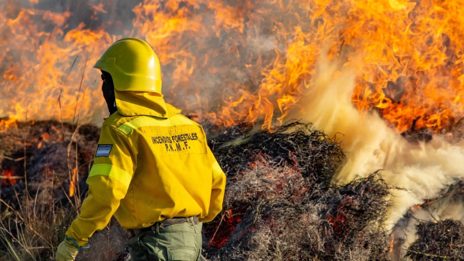 brigadista muere incendio forestal.jpg