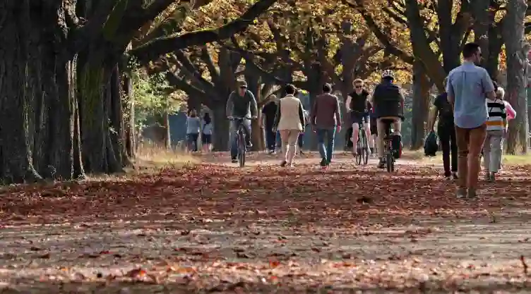 equinoccio-otoño-2020-que-es-.jpg