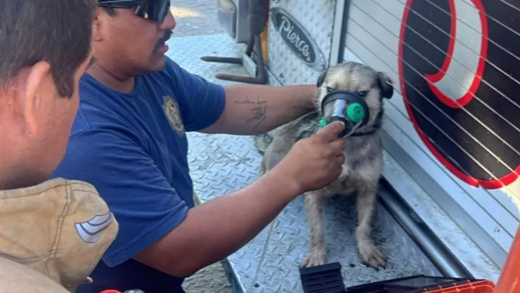 Tres incendios en Tijuana: Bomberos reportan daños materiales y rescate de menor