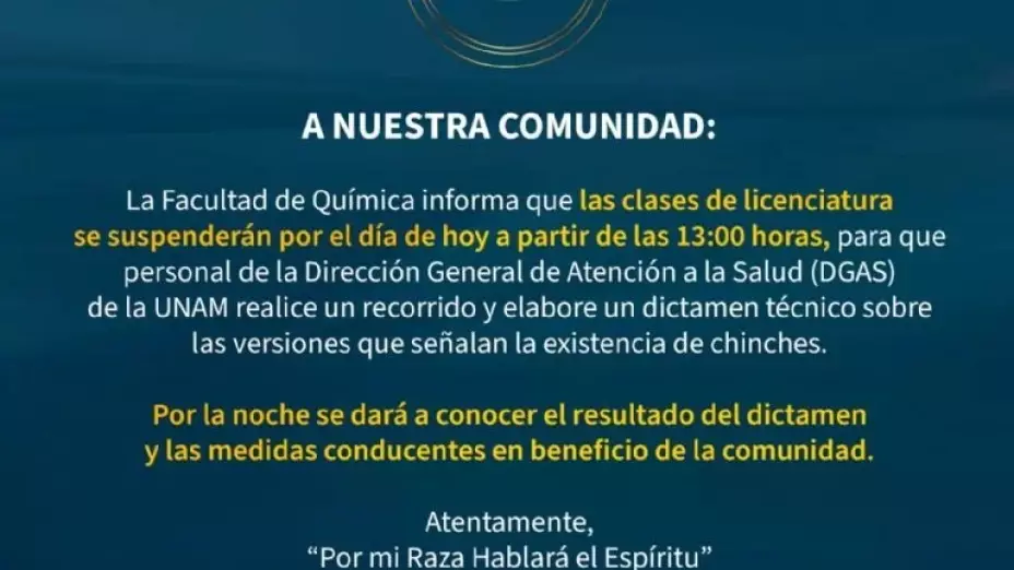 ¿Chinches en la UNAM? Facultad de Química suspende clases ante presunta plaga