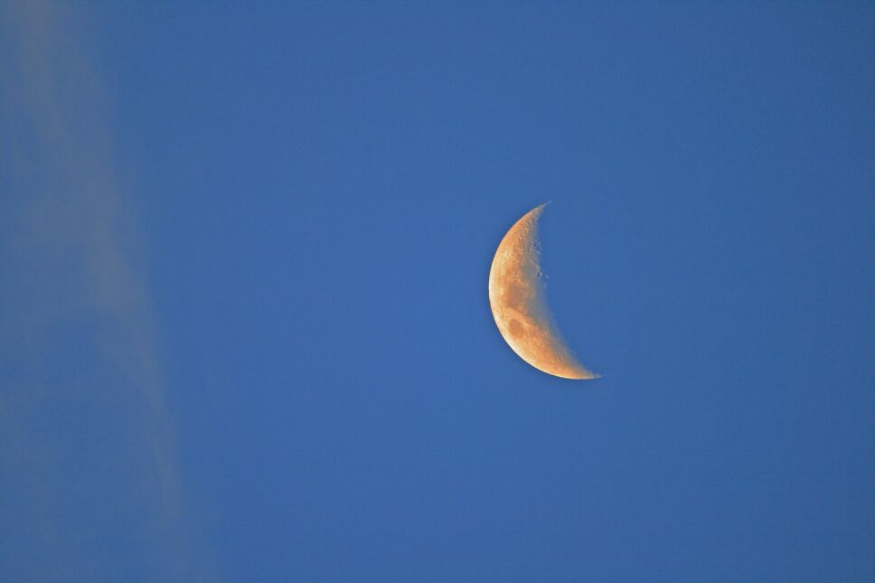 Calendario lunar, enero, 2022 2.jpg