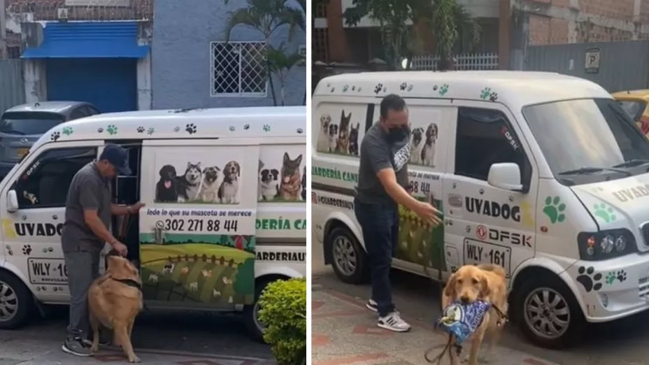 perrito regresa de guardería con su lonchera en el hocico.jpg