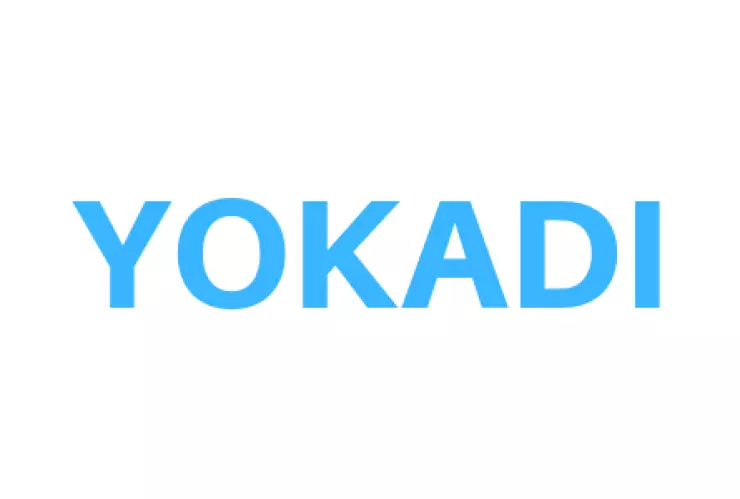 Yokadi y Vive Sin Drogas juntos por un México sin adicciones 