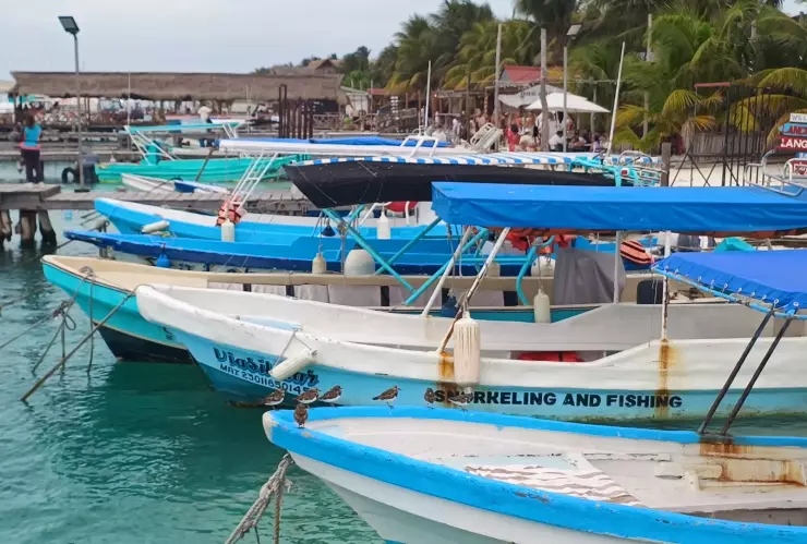 ¿Están abiertos los puertos en Quintana Roo HOY_ Esto debes saber ante mal clima