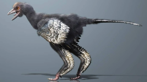 Dinosaurios no se han extinto