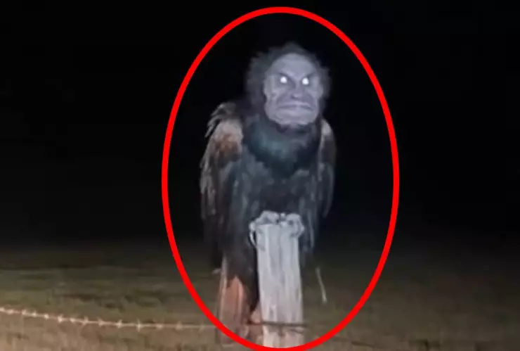 Nahual Catemaco, Veracruz