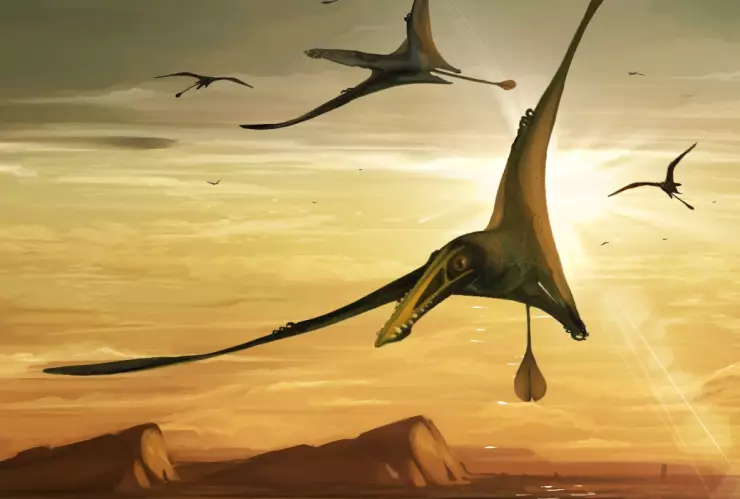 fósil escocia pterosaurio