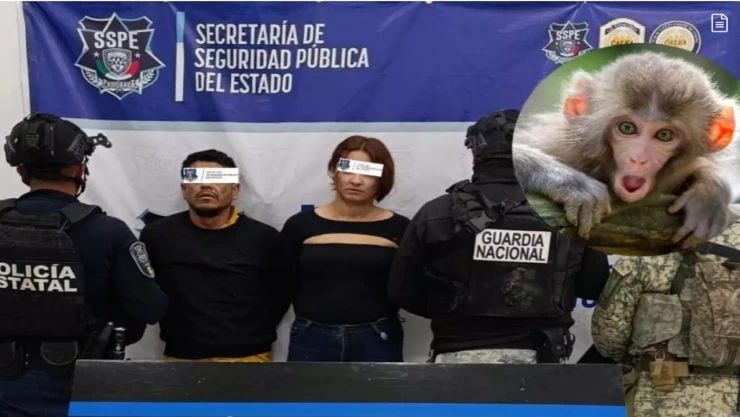 Secuestradores detenidos mono Chihuahua