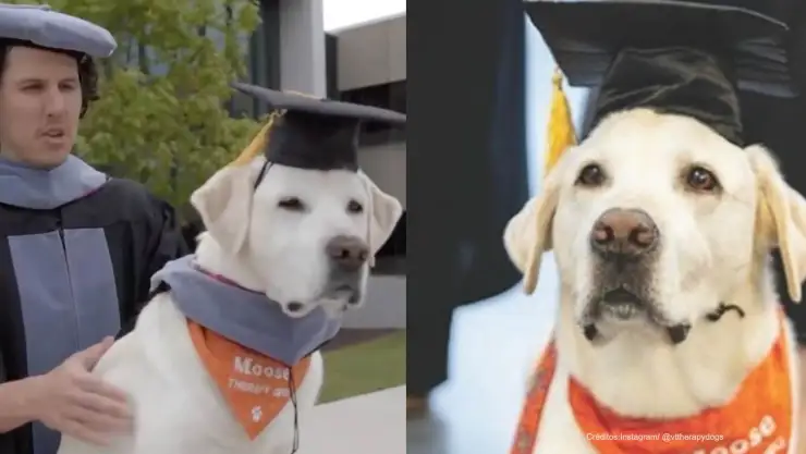 perro recibe doctorado.jpg
