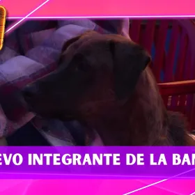 Tlacoyo se une a la banda de Julio y Bicolor