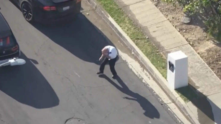 ataque-de-abejas-dos-personas-heridas-california