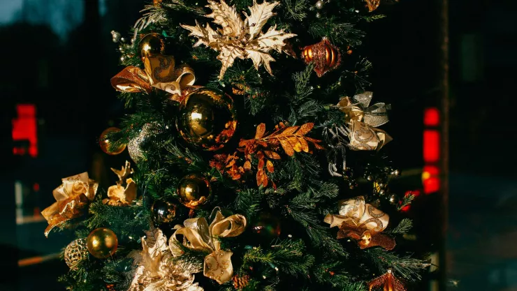 ¿Adornas para Navidad con anticipación? Esto revela de ti, según psicología.jpg