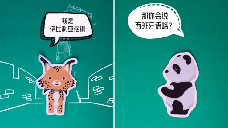 china_lince_panda_espanol