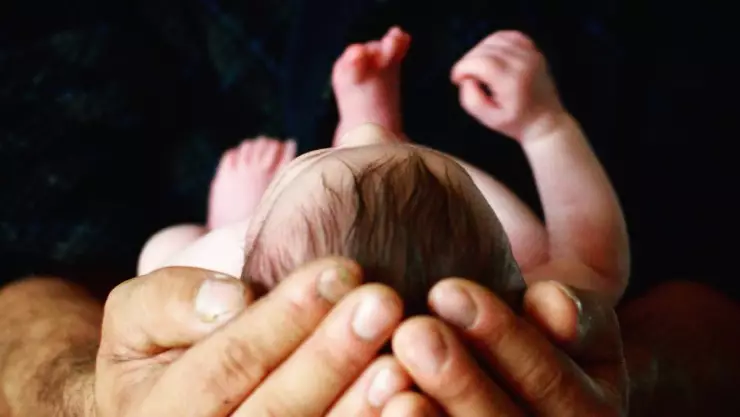 ¿Bebés de laboratorio? Científicos aseguran que pueden ser una realidad en 5 años